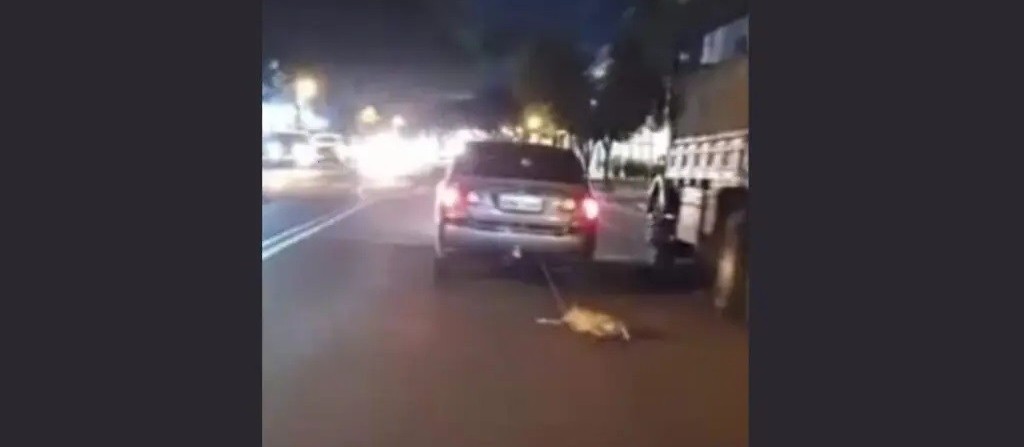 Cachorro transportado em porta-malas cai e é arrastado por carro