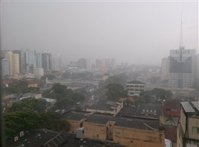 Chuva causa queda de árvores e morte em Maringá