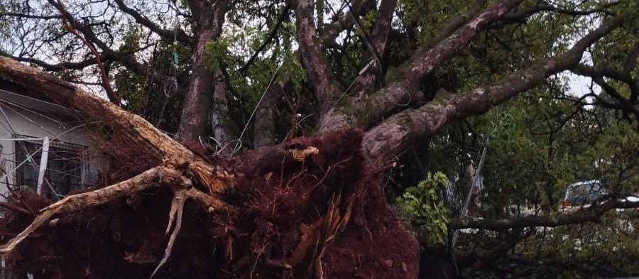 Prefeitura de Maringá aciona Gabinete de Crise para socorrer vítimas do temporal
