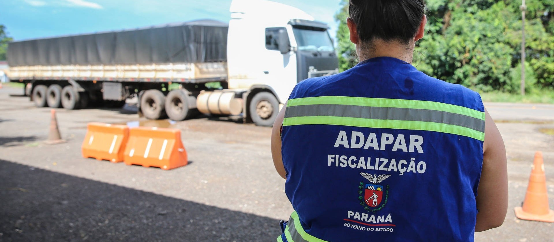 Governo do Paraná lança edital de concurso para reforçar defesa agropecuária