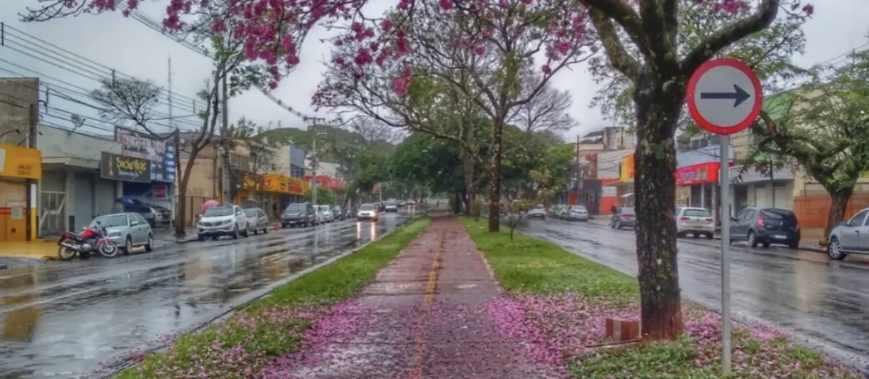Veja os detalhes da previsão do tempo para este domingo pelo Estado