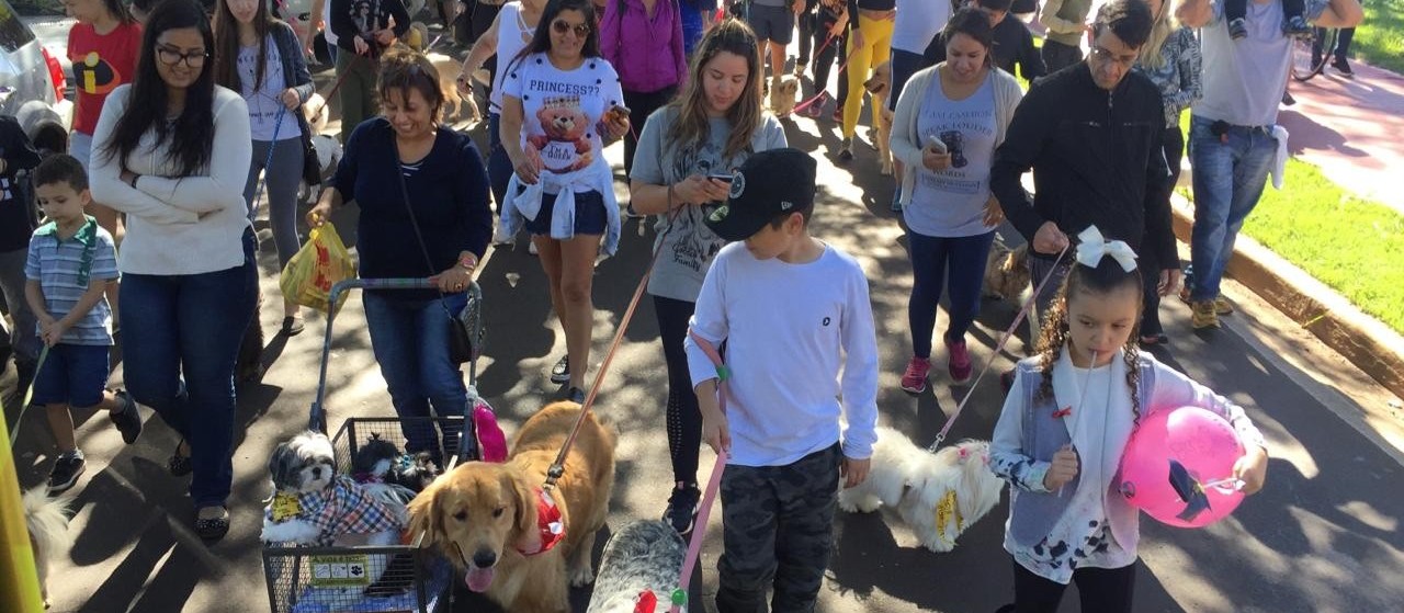 PetDay Cãominhada proporciona saúde e lazer aos pets e seus donos
