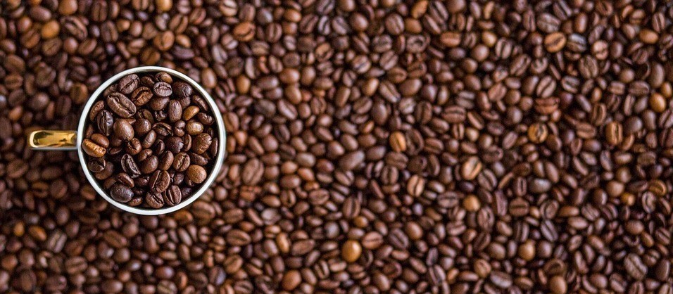 Com preços em queda, café custa R$ 5,90 Kg em Maringá