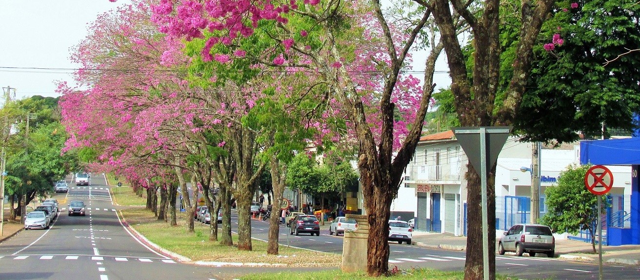 Sexta-feira (12) de tempo estável em Maringá; temperaturas seguem baixas no fim de semana