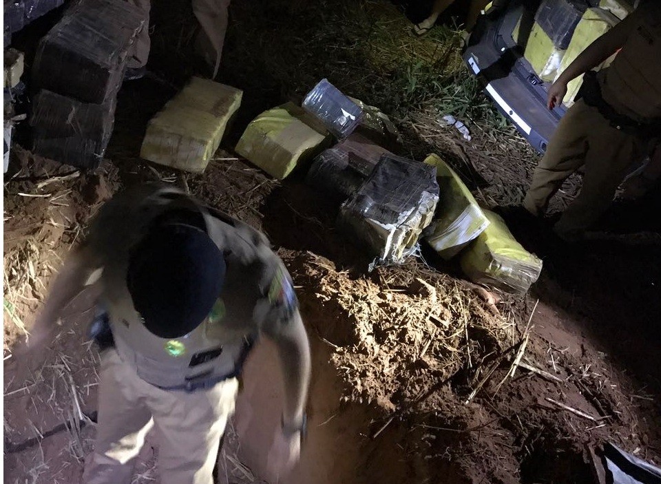 Polícia encontra mais de 1.300 quilos de maconha enterrados em sítio