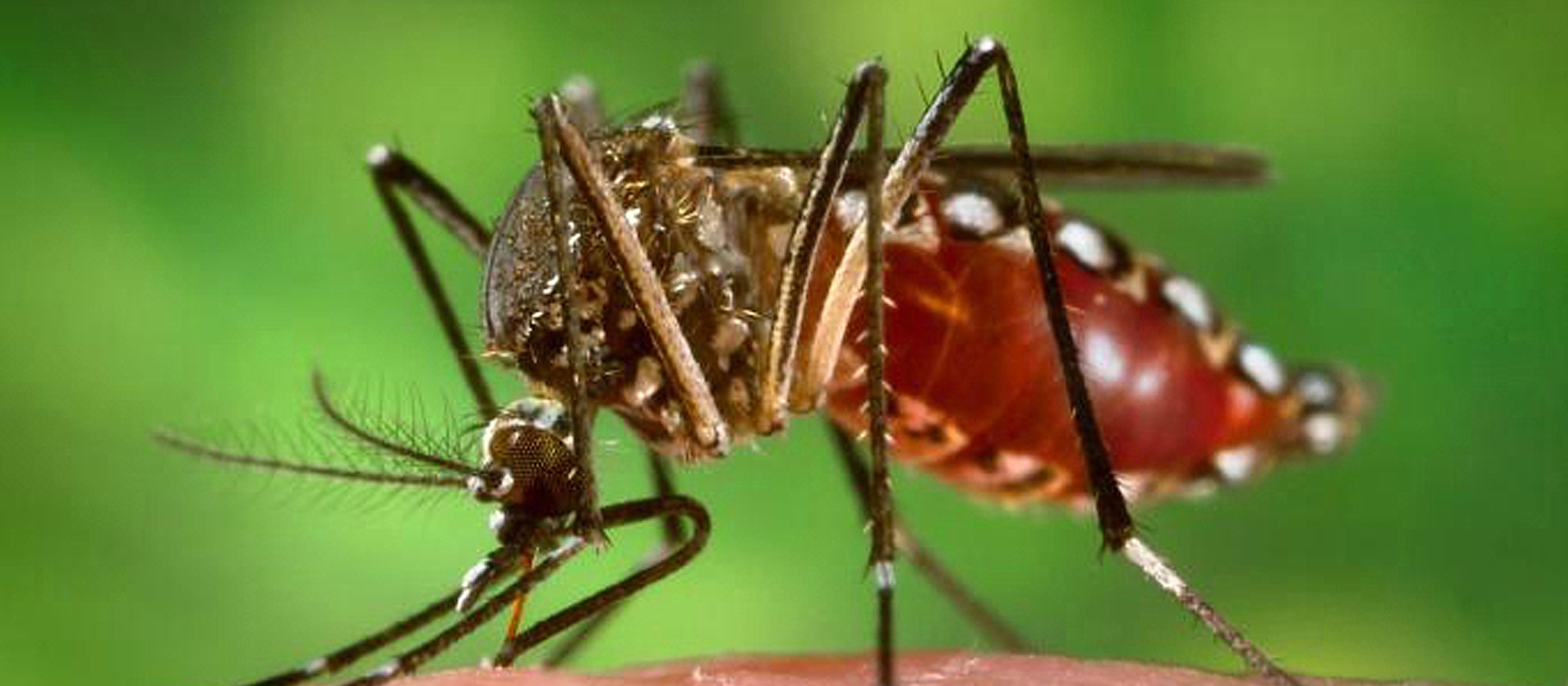 Roncador registra primeira morte por dengue no período epidemiológico