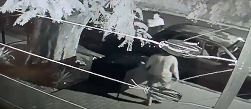 Após vídeo viralizar, polícia identifica casal que furtou container 