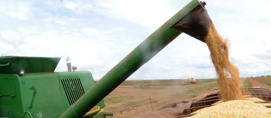  Cooperativas do agro no Brasil devem movimentar R$ 400 bilhões em 2022
