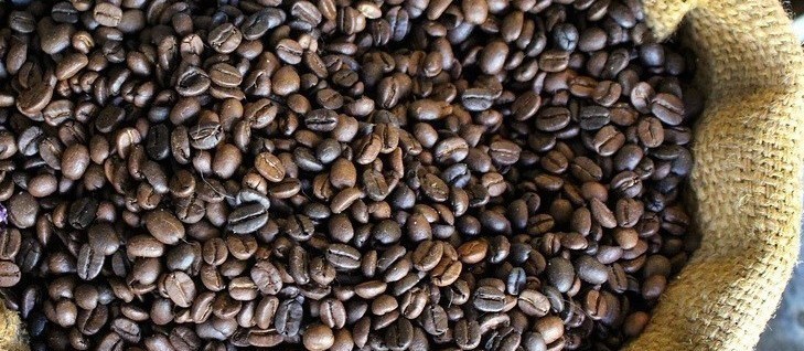 Café em coco custa R$ 5,74 kg em Londrina