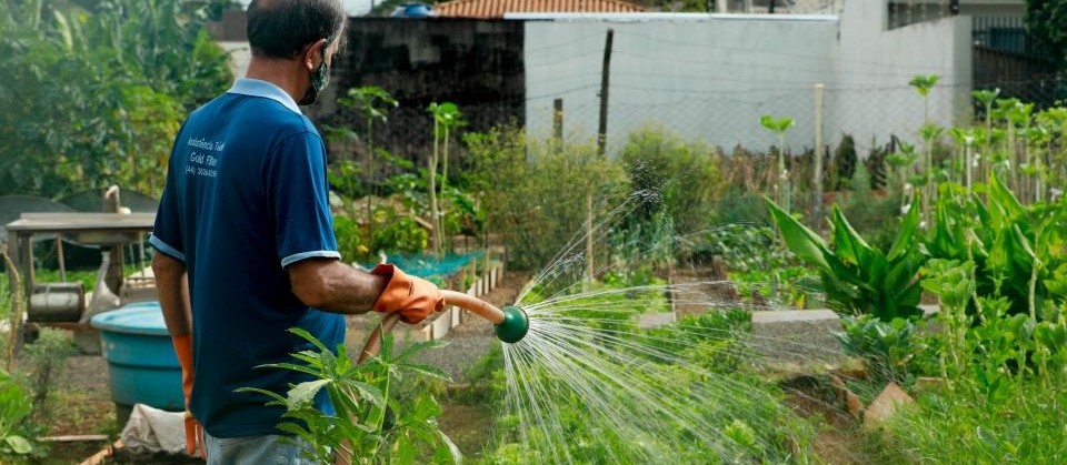 Nova horta comunitária deve beneficiar 58 famílias em Maringá