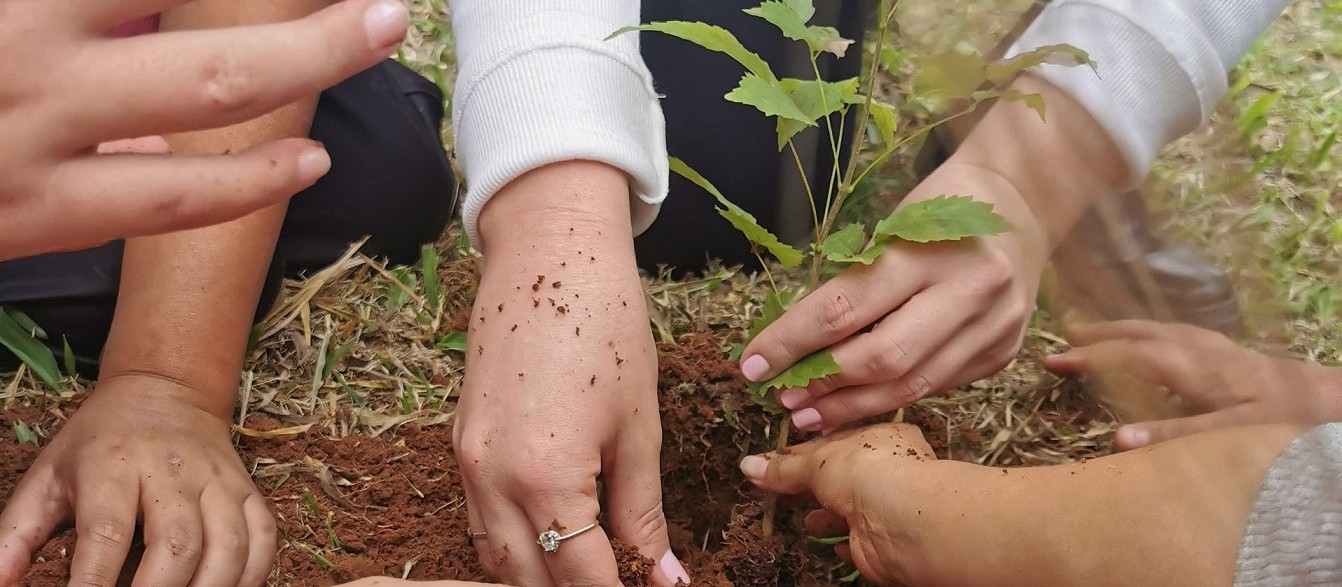 Plataforma criada em Maringá remunera agricultor por serviço ambiental