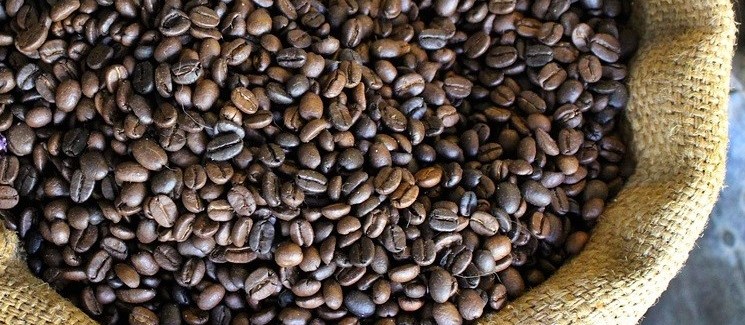 Café em coco custa R$ 6,50 kg 