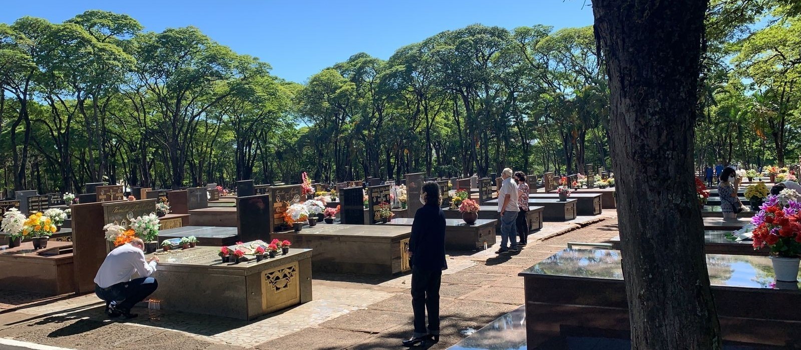 Venda de sepulturas está suspensa no Cemitério Municipal de Maringá