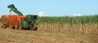 No Paraná, projeto prevê colheita mecanizada de cana-de-açúcar
