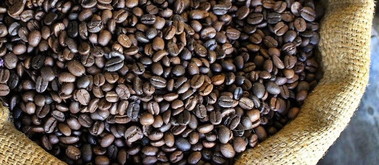 Café em coco custa R$ 6,90 kg