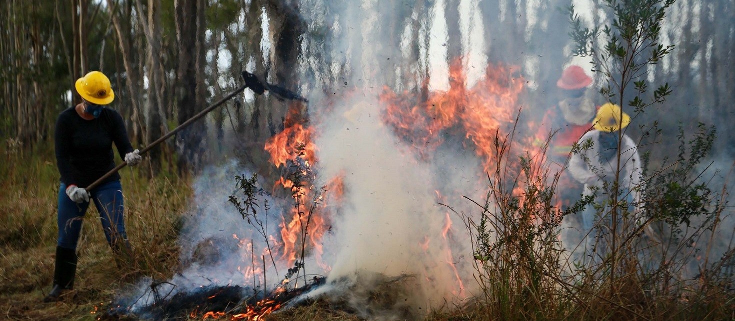 Bombeiros combatem incêndios ambientais em várias cidades da região