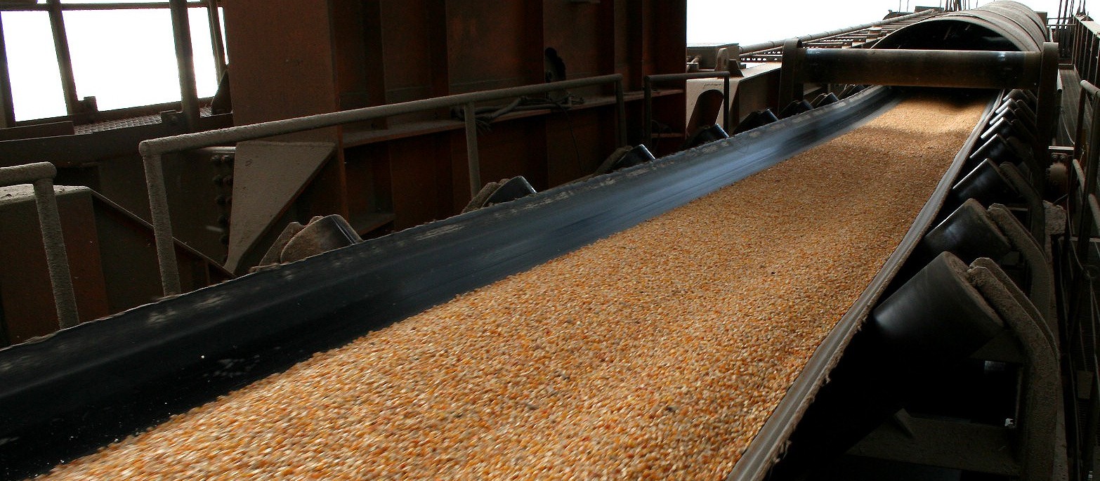 JBS importa milho para usar como ração no sul de Santa Catarina