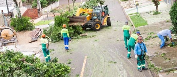 Prefeitura inicia cadastro de empresa para corte de árvores