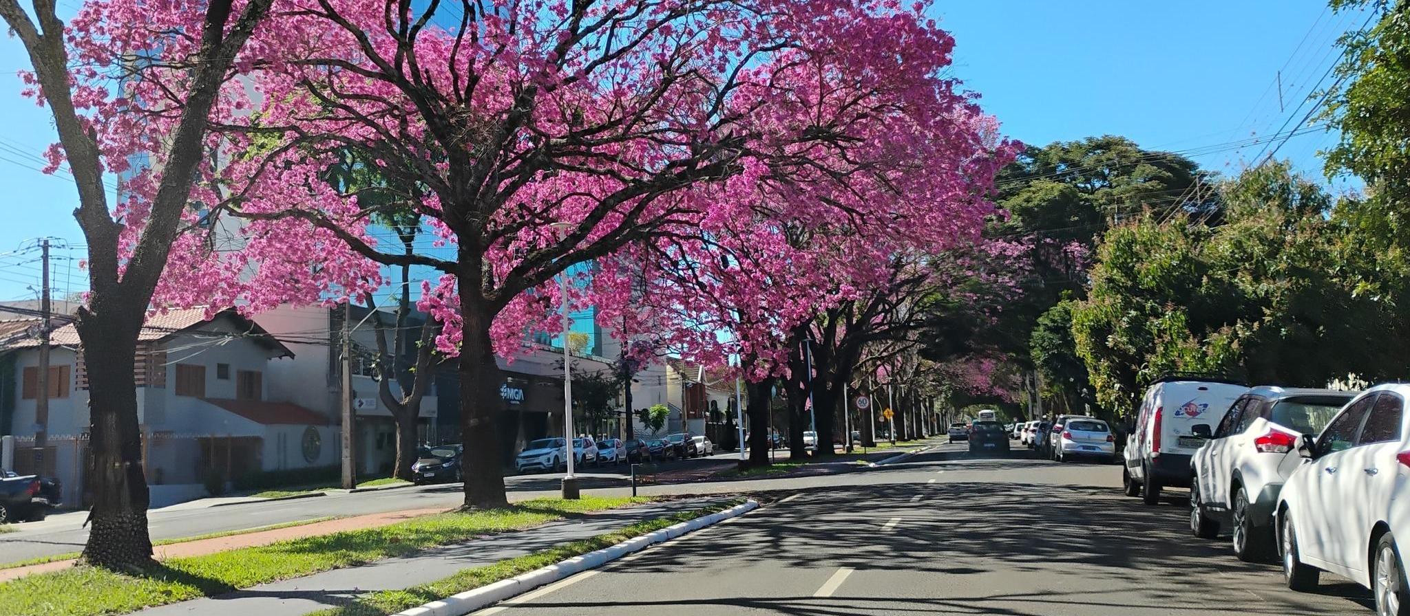 Quarta-feira (13) segue com céu limpo em Maringá; máxima atinge 28° C