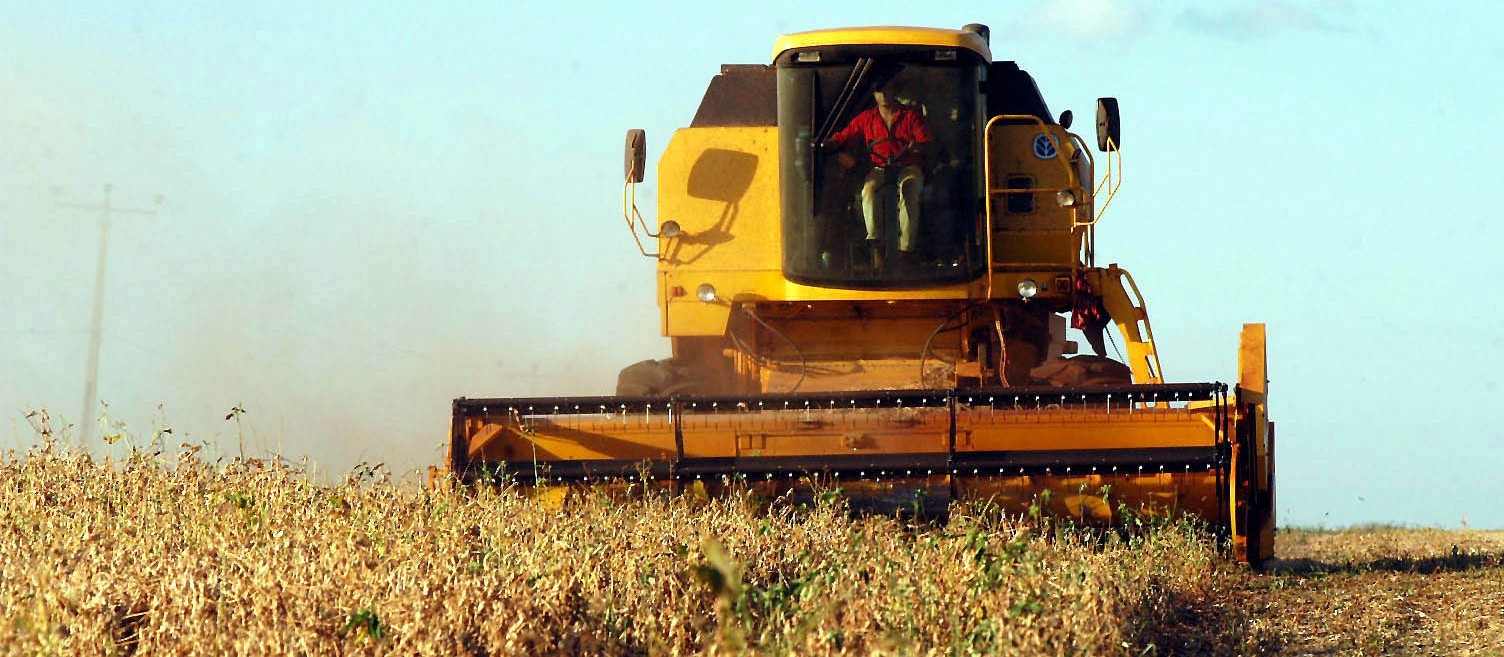 Colheita da soja alcança 10% da área plantada no Paraná