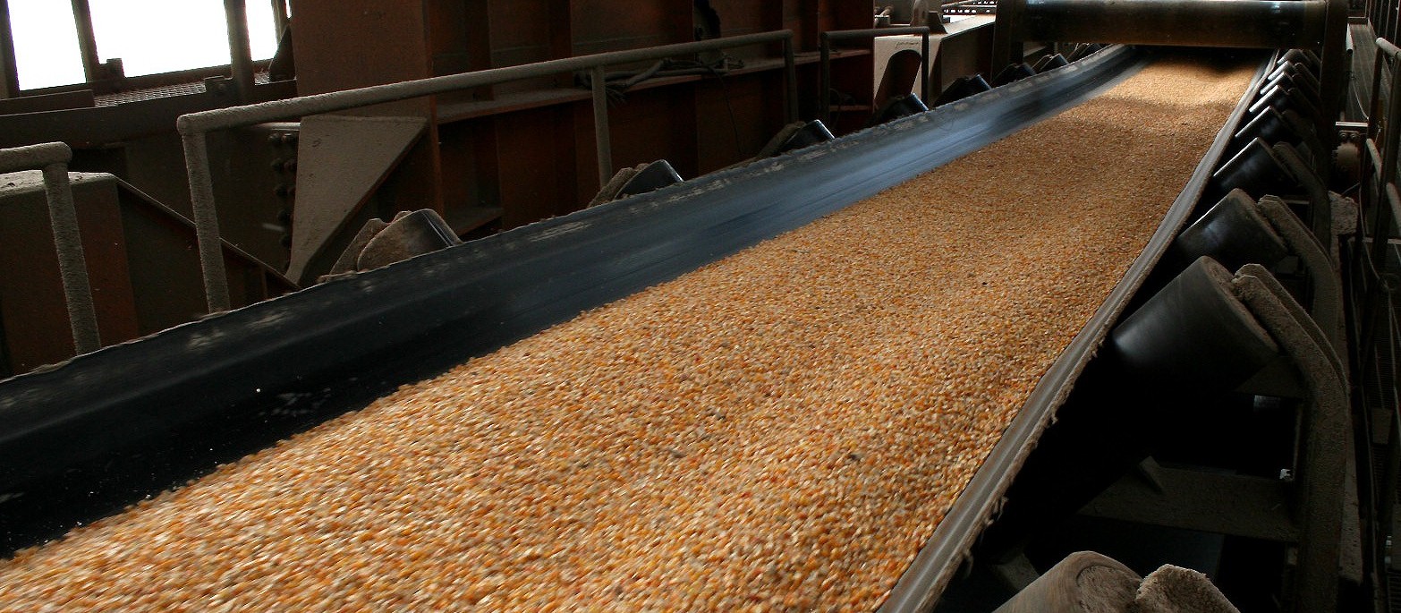 Exportações de milho por Paranaguá devem aumentar em abril e maio