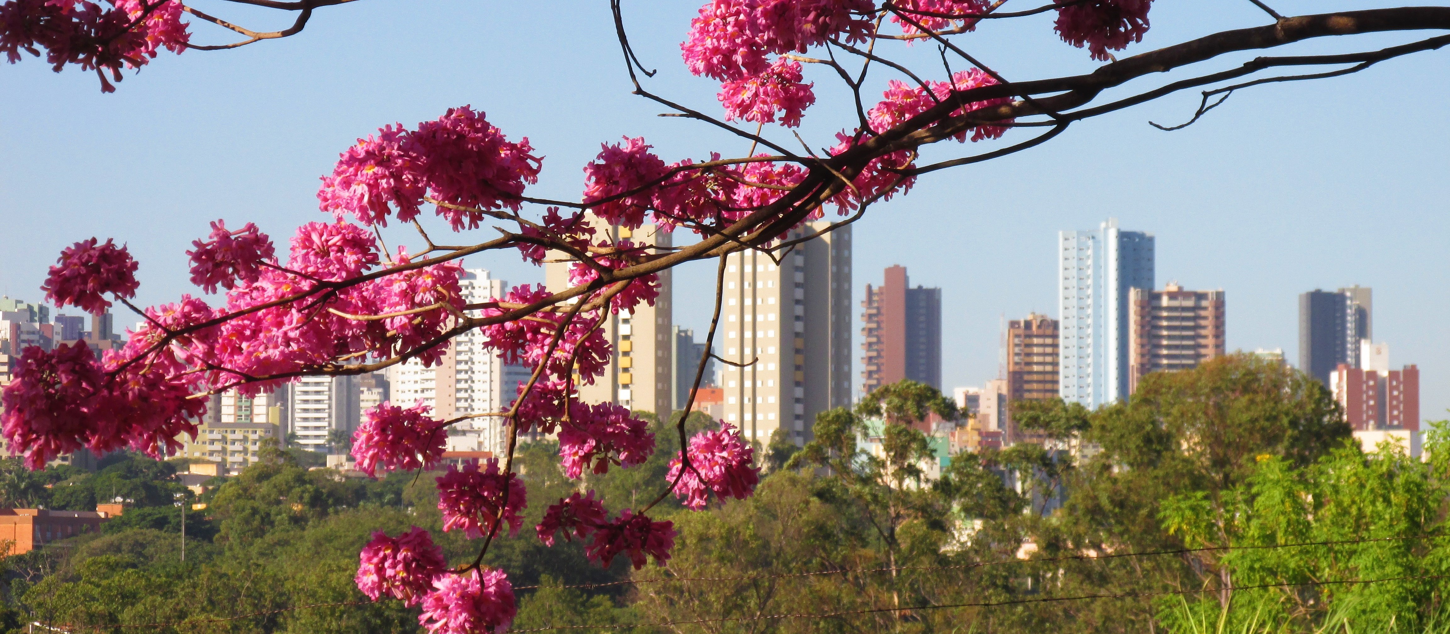 Temperaturas seguem em elevação nesta terça-feira (23), em Maringá