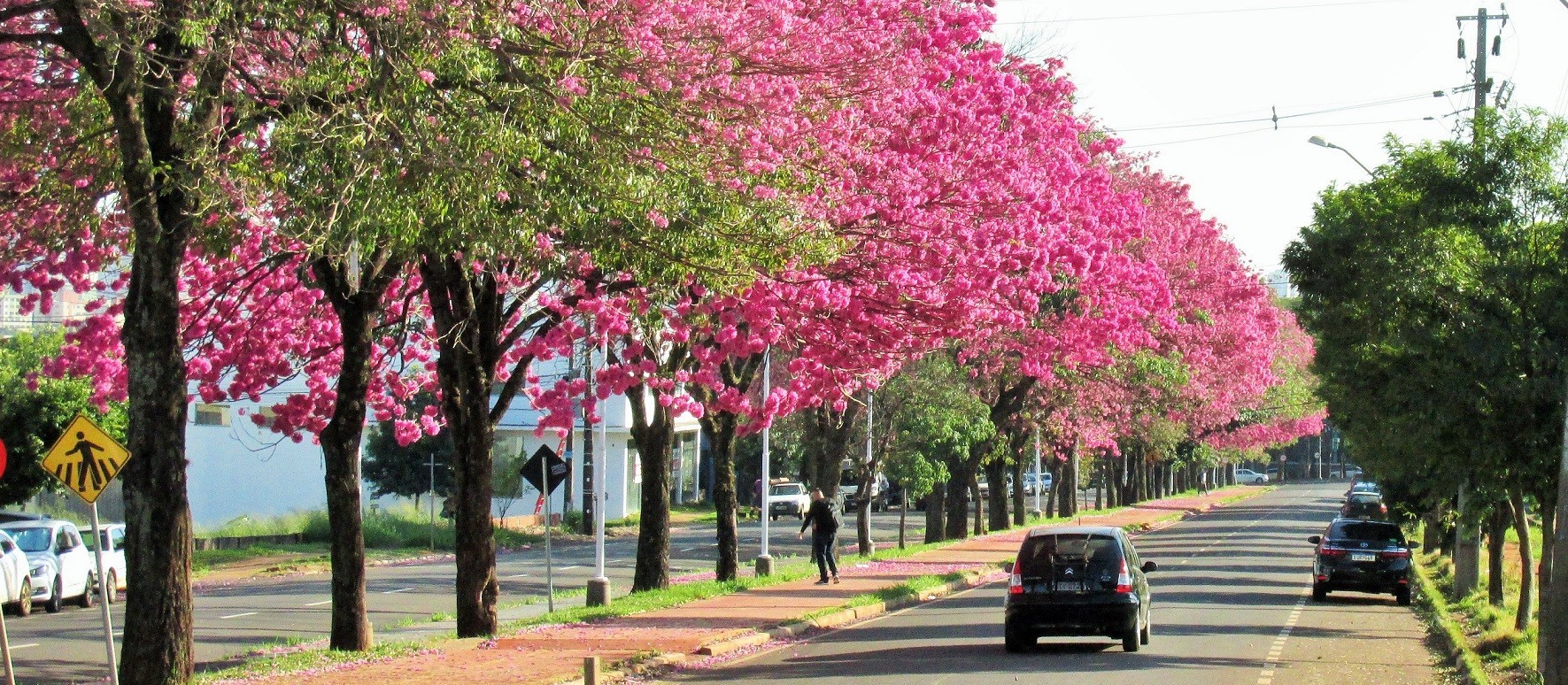 Maringá segue com temperaturas amenas nesta segunda-feira (15); veja previsão