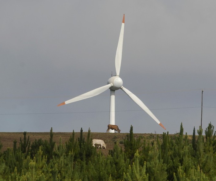 Estudo aponta Paraná como modelo mundial em desenvolvimento sustentável