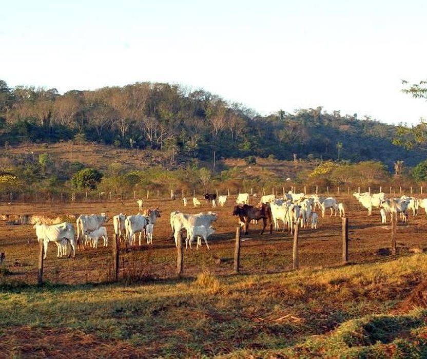 Receita Federal de Maringá estima receber cerca de 2 mil declarações de propriedades rurais