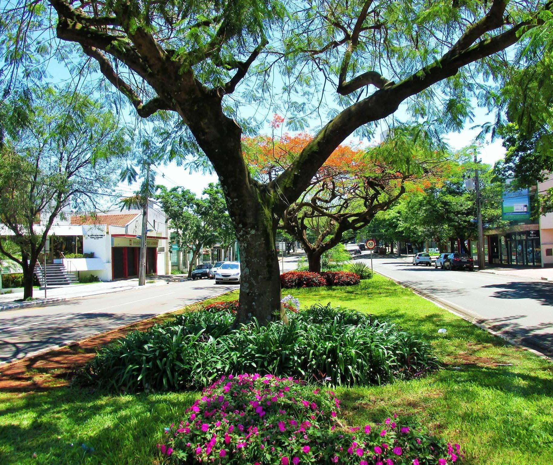 Maringá terá tempo firme e máxima de 29° C nesta quinta (23); confira previsão