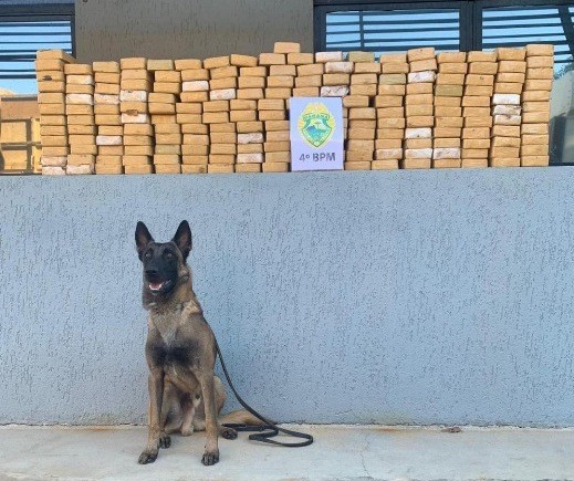 Cães da PM encontram 213 kg de crack em bitrem