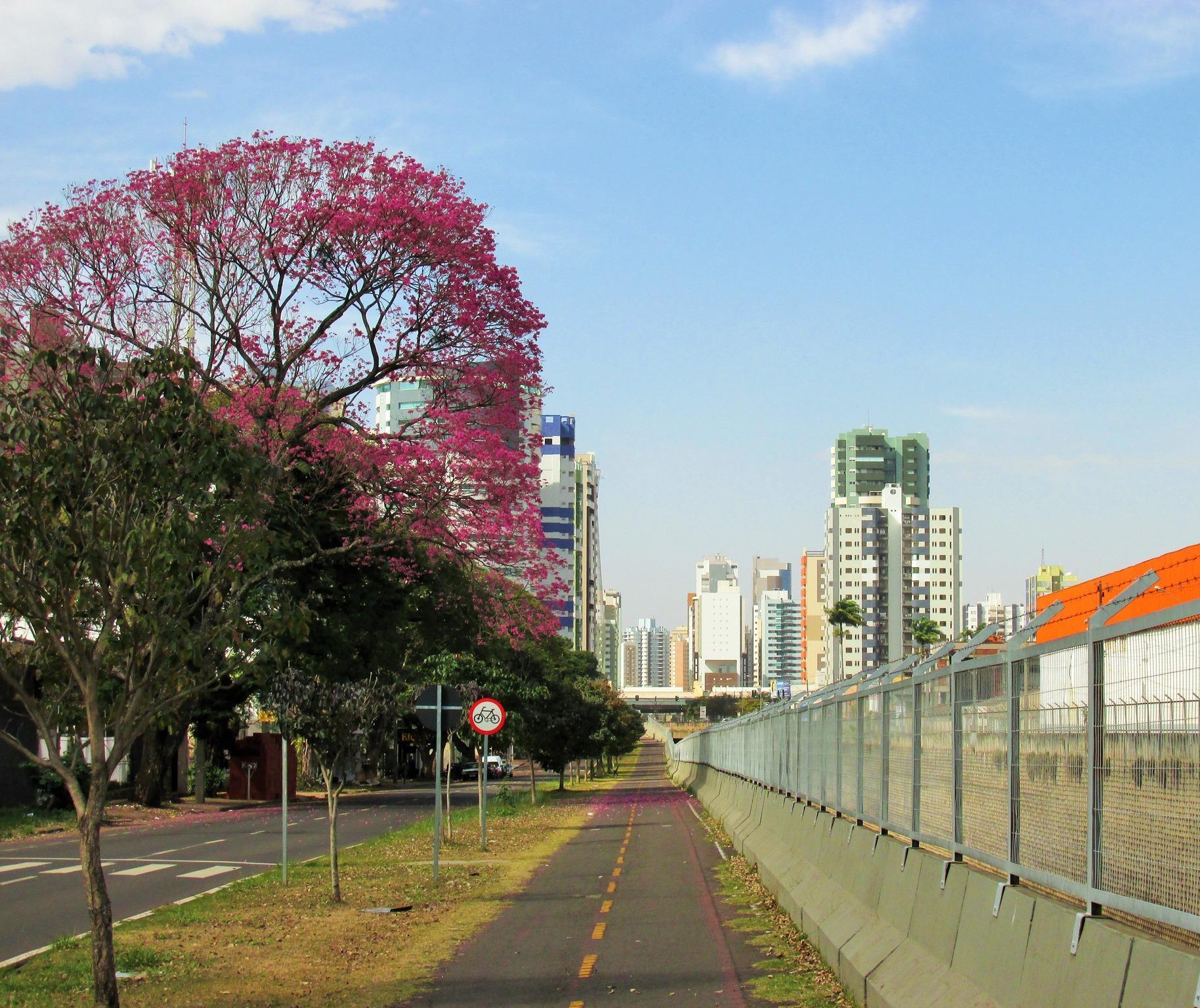 Veja como fica o tempo em Maringá nesta terça-feira (29)