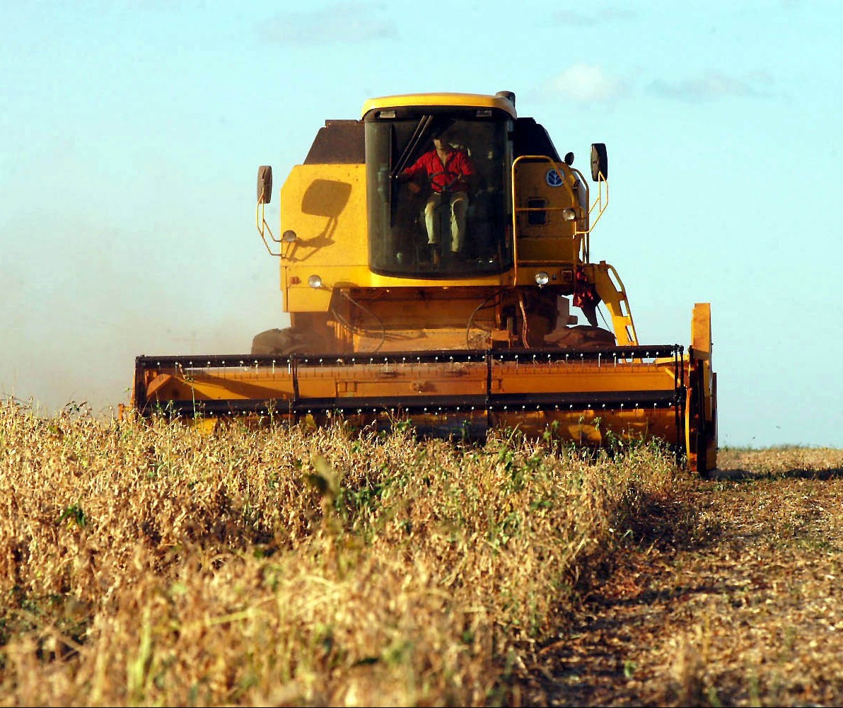 Colheita da soja chega a 40% da área na região de Maringá