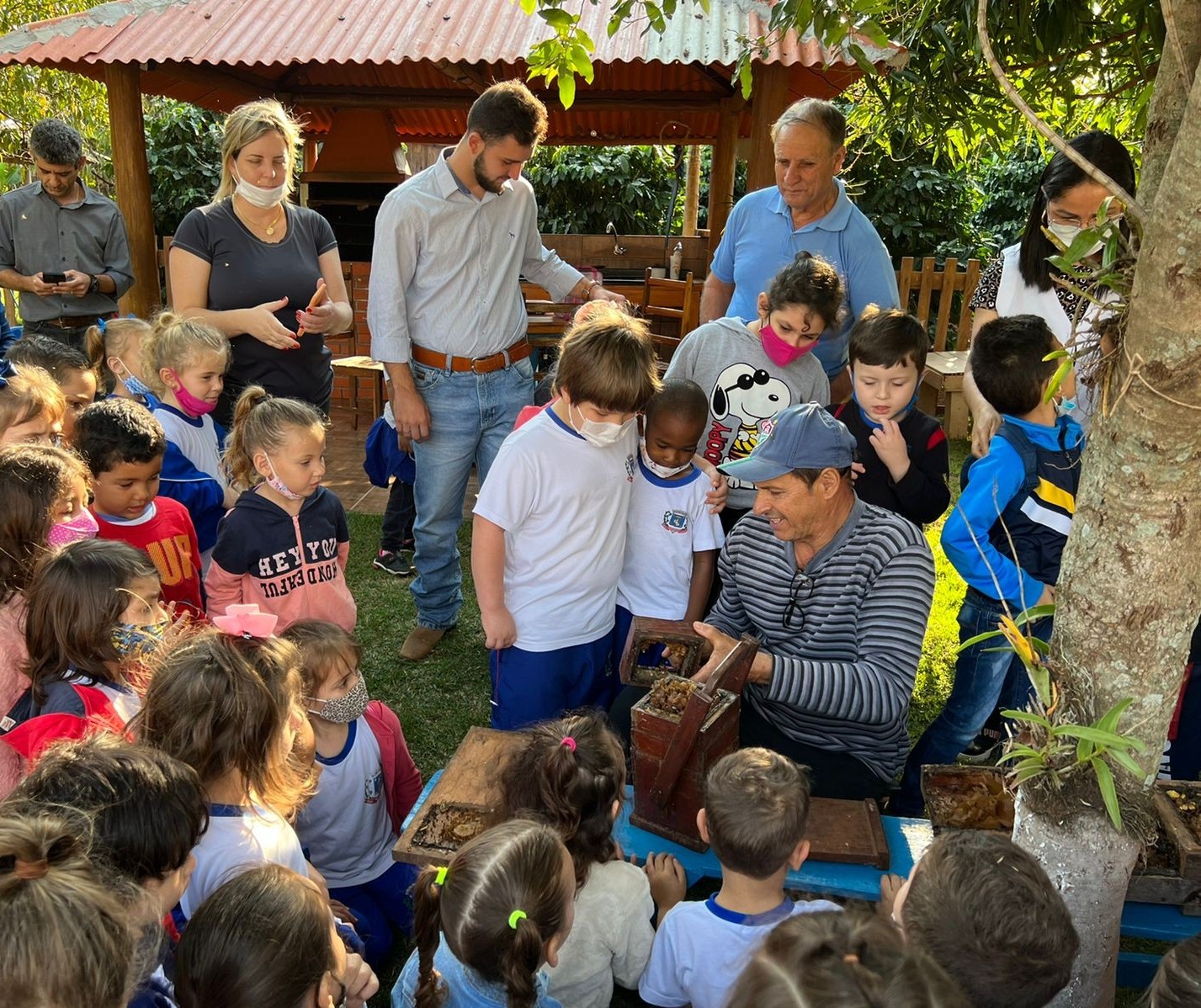 Projeto aproxima crianças das abelhas em Marialva