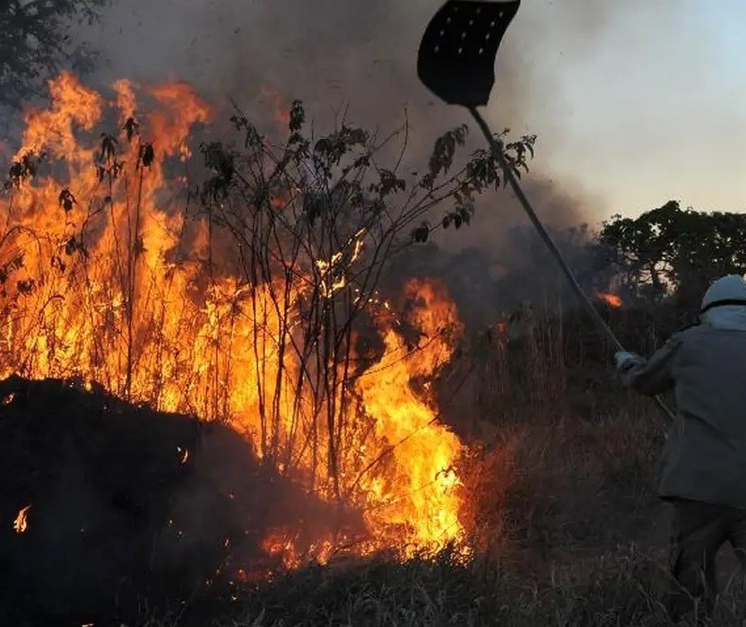 Quatro bombeiros de Maringá vão atuar em MS no combate a incêndios