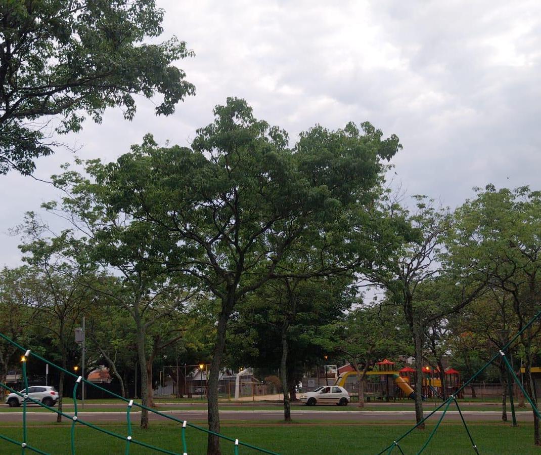 Sábado (19) com previsão de chuva em Maringá