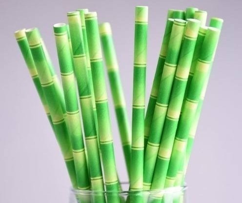 Canudos de bambu substituem os de plástico