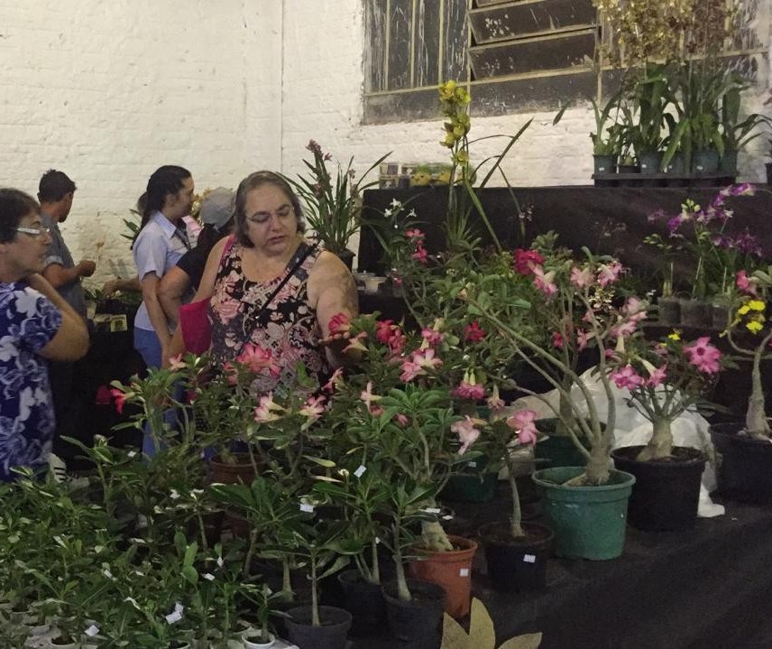 Feira regional de produtores de flores muda de local na Expoingá