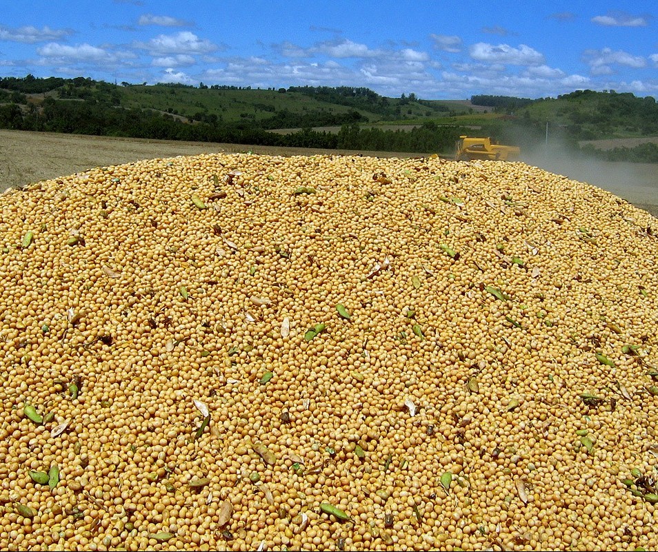 Preço da saca da soja custa R$ 74,50