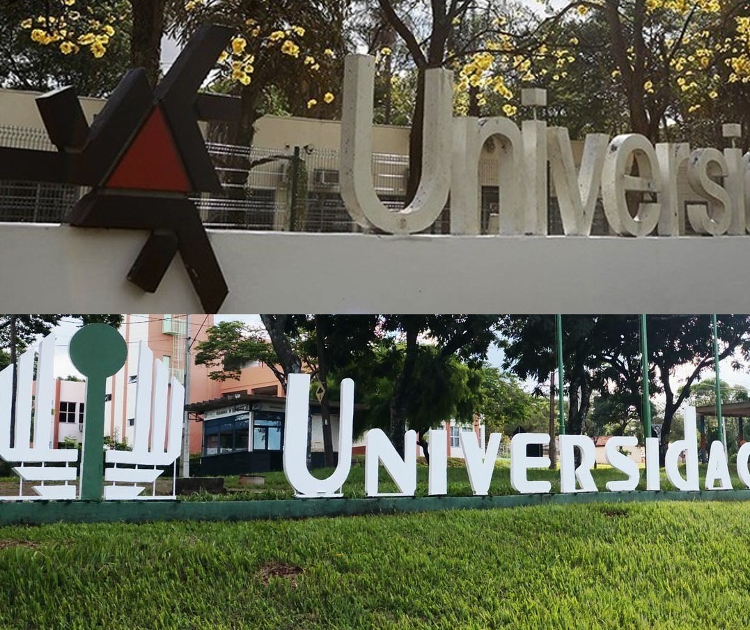 UEM e UEL estão entre universidades brasileiras que mais produzem pesquisa