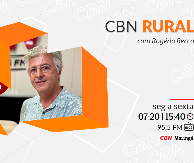 PIB do agronegócio brasileiro pode registrar recorde de crescimento em 2023