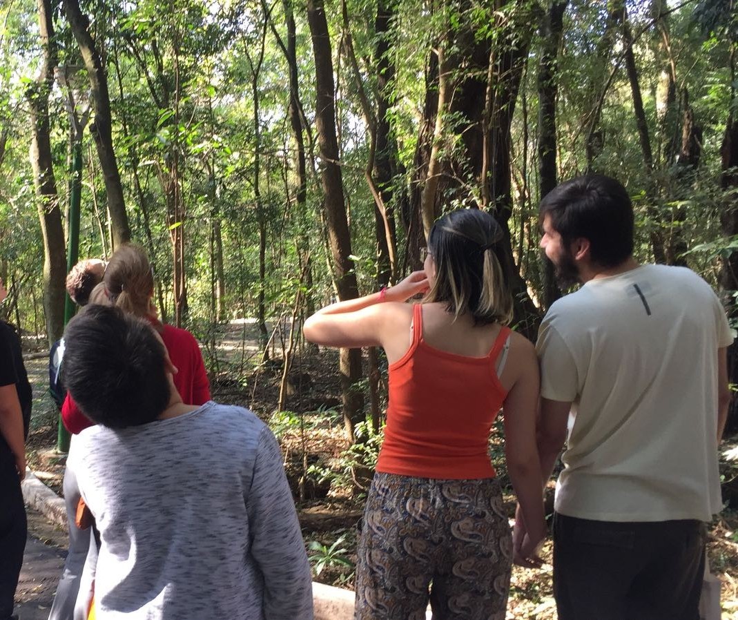 “Pássaringá” apresenta aves aos interessados em Maringá