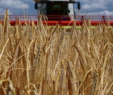 Vendas externas do agronegócio registram recorde em agosto