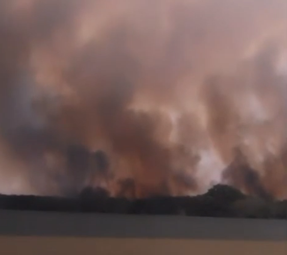 Novo foco de incêndio atinge o Parque Nacional de Ilha Grande
