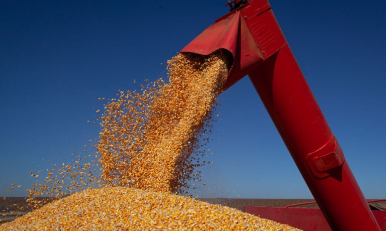 Estimativas de plantio de soja e milho dos EUA ficam abaixo do esperado