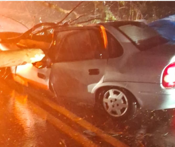 Árvore cai sobre carro em movimento na PR-323