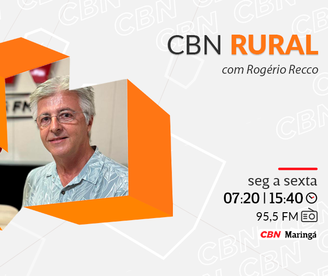 Aproveitamento hídrico: Cerrado supera Sul em produtividade do trigo