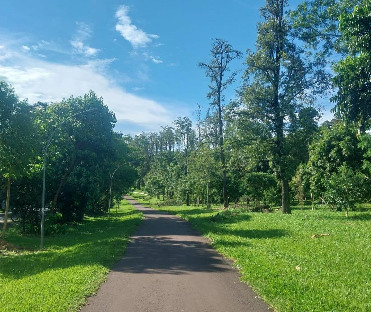 Confira a previsão do tempo para este domingo (18)