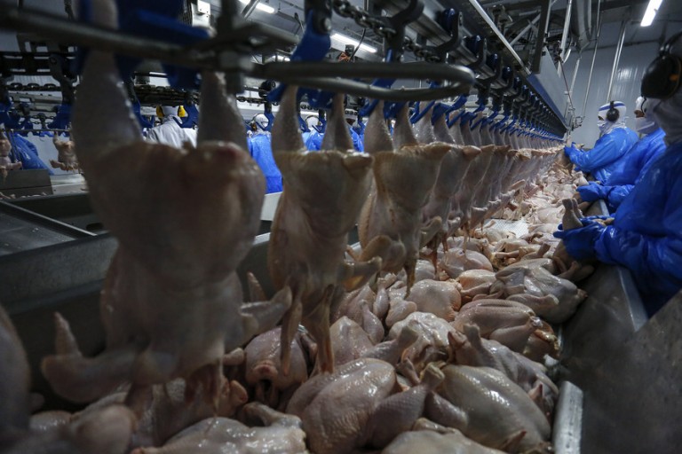 Brasil exportou 396 mil toneladas de carne de frango em março
