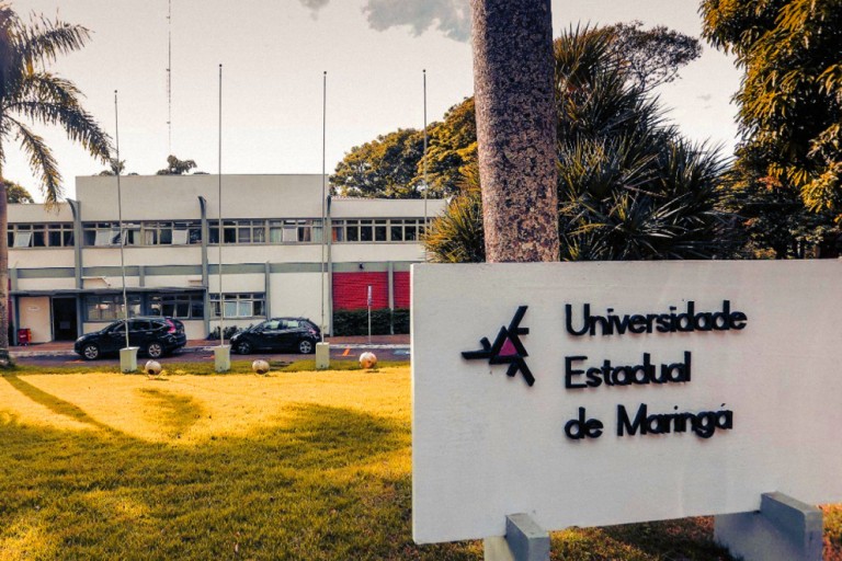 UEM é uma das universidades do mundo com mais mulheres pesquisadoras